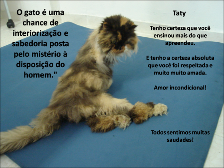 Taty